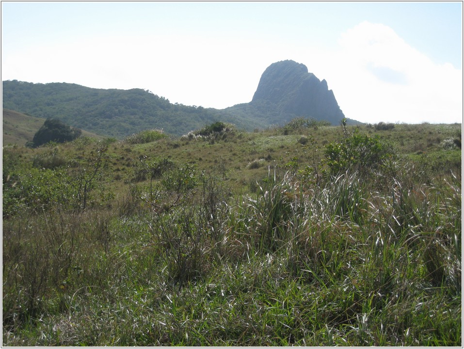 2012-12-15 11-02-30牧場南望大尖石山.JPG